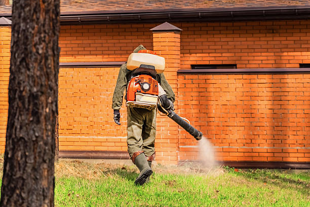 Trusted Cockroach Control service in Lavonia, GA - Nex Pest Control